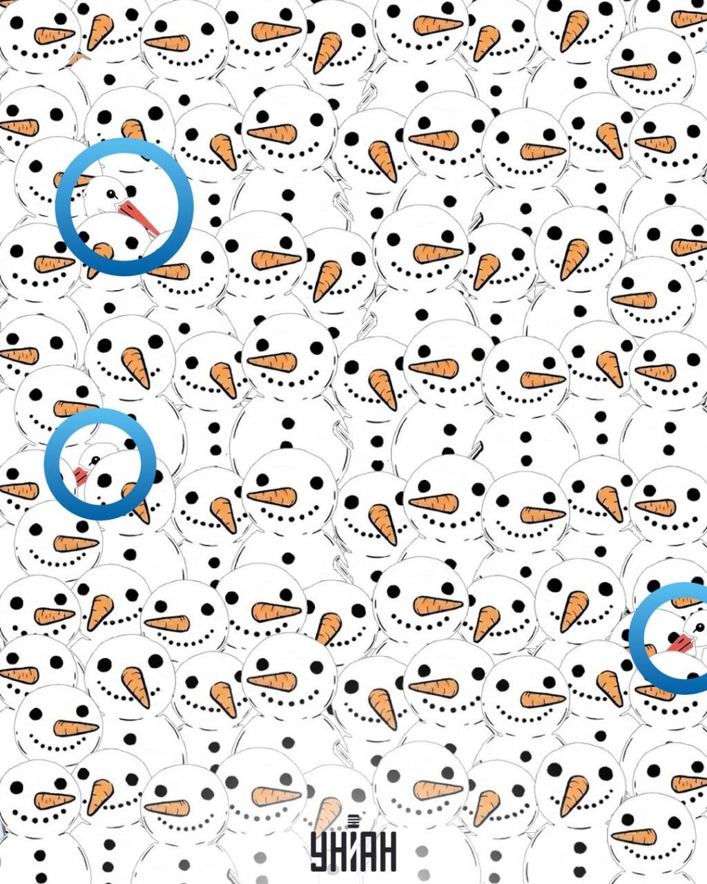 Finn 3 storker blant snømennene på 11 sekunder: en fantastisk optisk illusjon