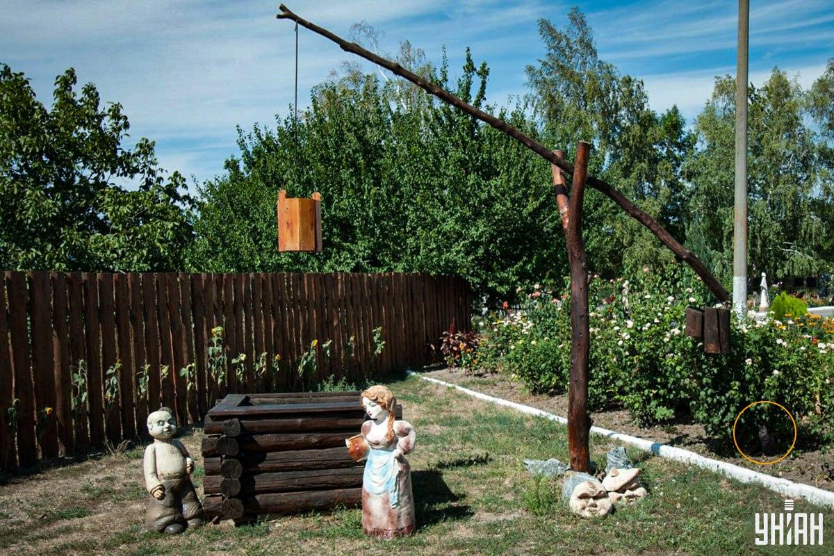 Katten var i blomsterbedet / Moje collage