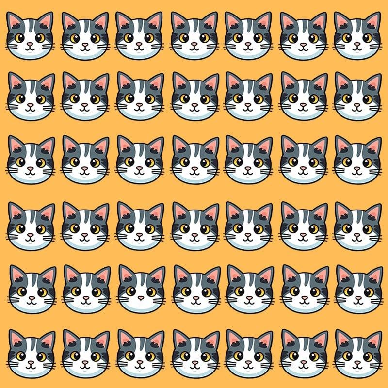 Denne optiske illusjonen er bare mulig for personer med grandios IQ / Moje image